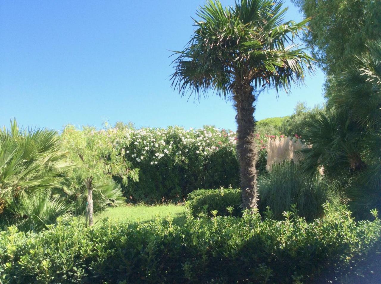 Villa Rosa Marina Buitenkant foto